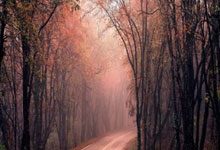 国乒9人晋级WTT重庆冠军赛16强人民日报客户端.