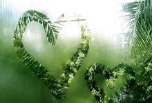 前高管：维尔茨带药厂夺冠，这比在拜仁赢得第个冠军有意义.