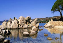 [图]中超-马特乌斯双响席尔瓦世界波 海牛2-2西海岸.